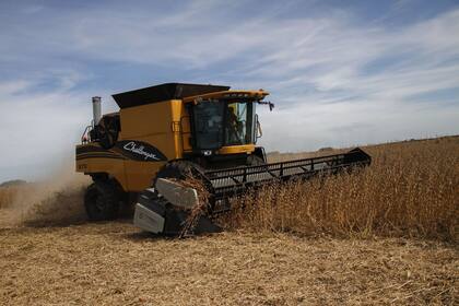 cosecha de soja
ameghino provincia de buenos aires
_Augusto Famulari