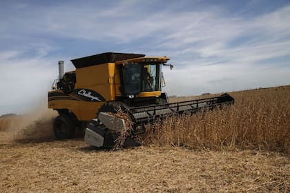 cosecha de soja
ameghino provincia de buenos aires
_Augusto Famulari