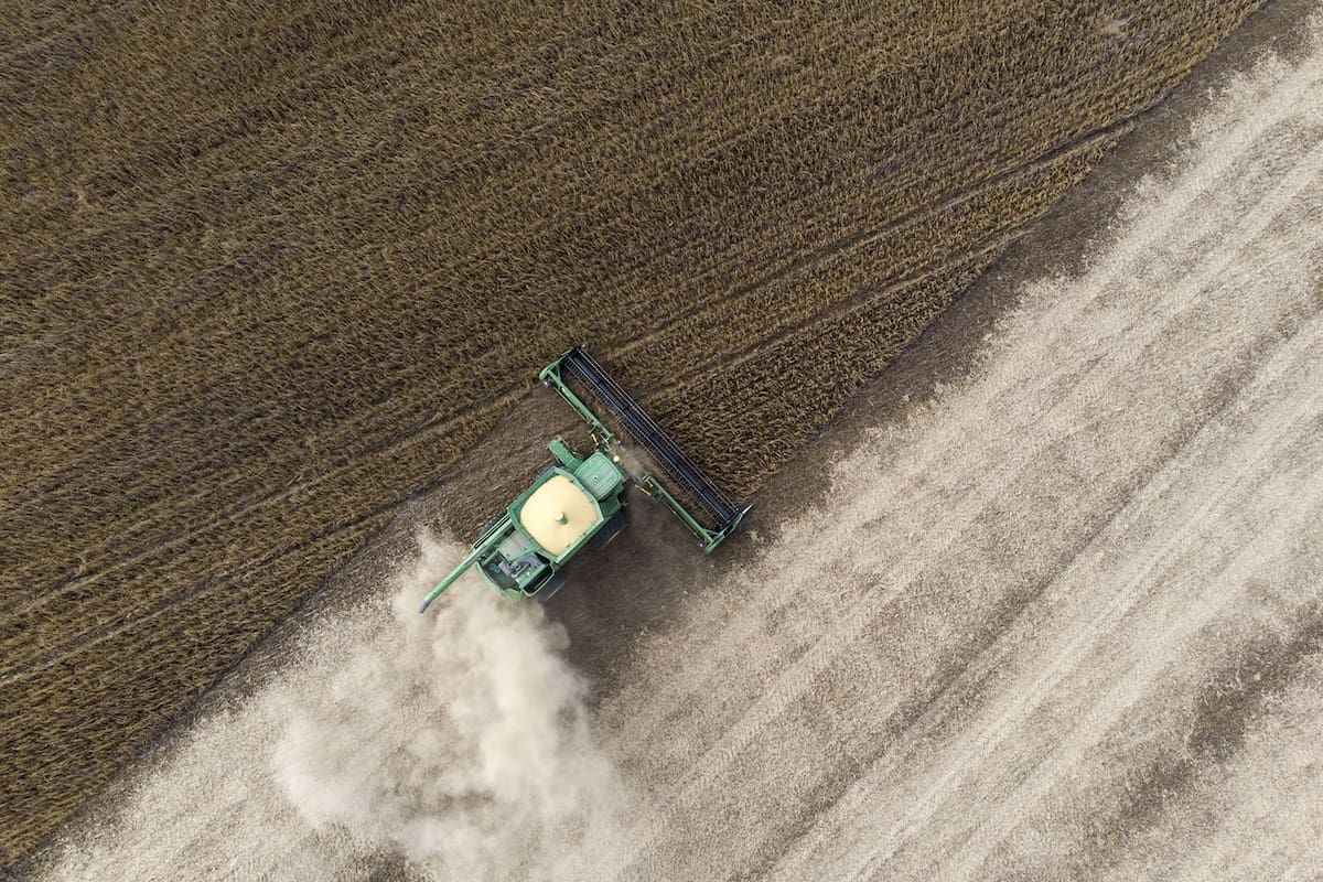 Cosecha de soja de segunda zona de Monte Buey, Córdoba Abril de 2020