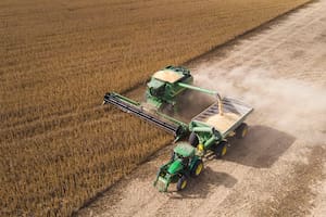 Los factores que agitan el mercado de granos y pueden poner en “modo” cautela a los productores