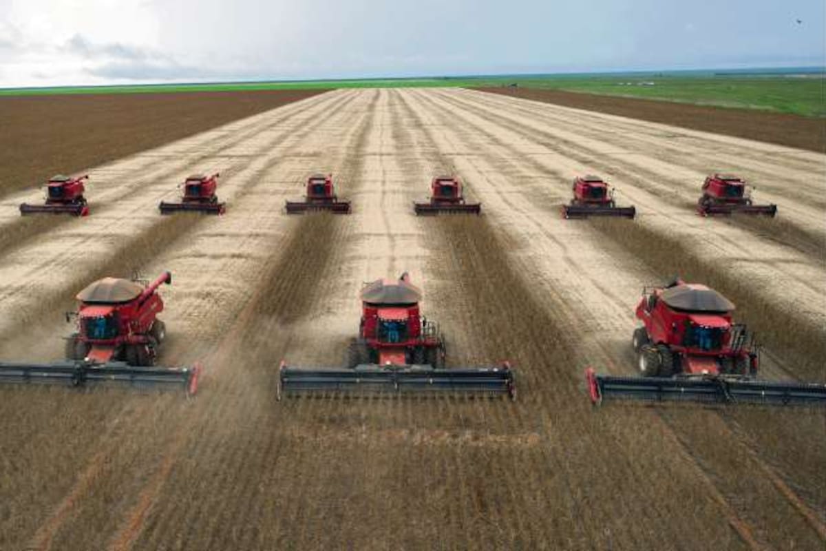 Cosecha de soja en Cuiabá, en la zona de Mato Grosso, Brasil