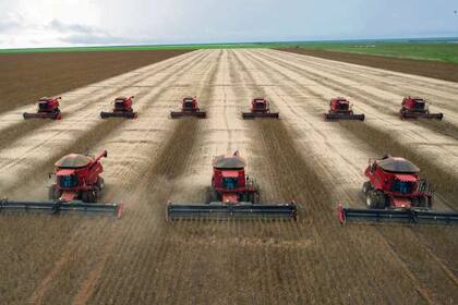 Cosecha de soja en Cuiabá, en la zona de Mato Grosso, Brasil