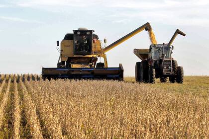 La cosecha argentina de soja avanzó sobre el 53,3% del área apta, según informó la Bolsa de Cereales de Buenos Aires