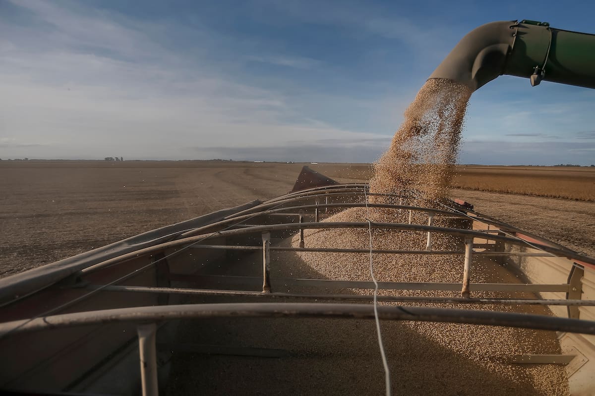 Cosecha de soja en Las Acequias, Cordoba