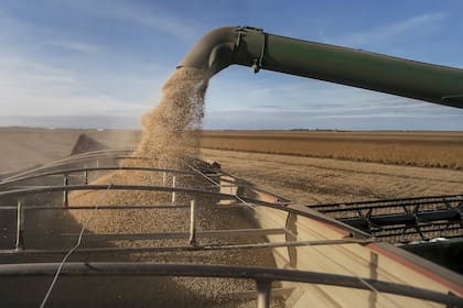 Se redujo la venta de soja de los productores, según alertan los exportadores