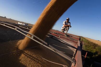 Cosecha de soja (Photo by Martin Cossarini/picture alliance via Getty Images)