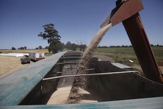 Con 5,1 millones de toneladas, aumentó un 3% en 2025 el mercado de fertilizantes en el país