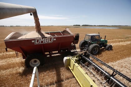 Hito: por primera vez, dos barcos llevarán trigo argentino a China