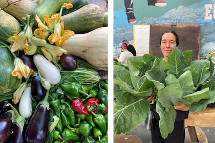 Cosecha y donación de la Huerta Comunitaria Luna de enfrente, comuna 14. Ana, agricultora de la huerta, planifica las tareas diarias basándose en el calendario biodinámico.