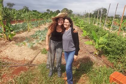Cosechando tomatitos cherry en un proyecto de huerta agroecológica.