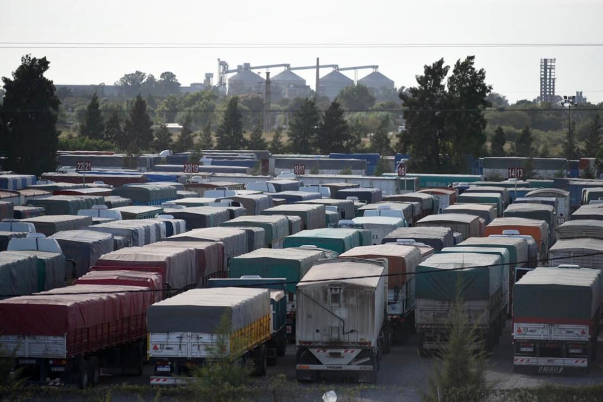 Cosecha.Se multiplican los camiones con granos en Rosario