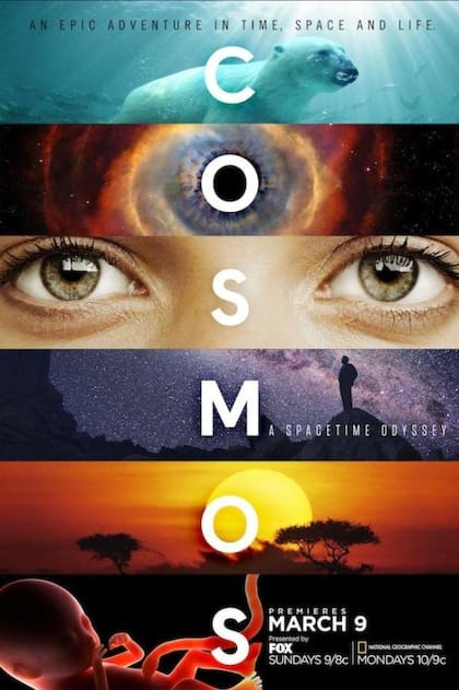 Cosmos: Una odisea en el espacio-tiempo (2014)
