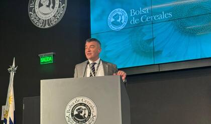 Costa remarcó: “Estos 143 millones de toneladas no son tan distintos a los 140 millones de 2018-2019. Claramente no estamos en un proceso de crecimiento”