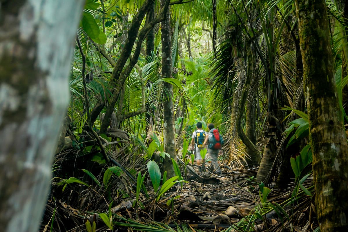 Costa Rica es modelo a seguir en políticas de turismo ecológico y sostenible, con un 25% del territorio bajo algún grado de protección