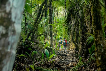 Costa Rica es modelo a seguir en políticas de turismo ecológico y sostenible, con un 25% del territorio bajo algún grado de protección