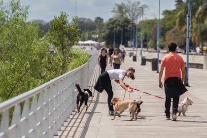 Costanera de Paraná.
