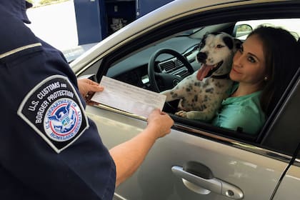 Costos y trámites para los migrantes mexicanos que desean volver con un bono incluido (Unsplash)