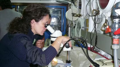 Covadonga Orejas Saco del Valle es investigadora del Centro Oceanográfico de Gijón, perteneciente al Instituto Español de Oceanografía (CSIC)