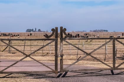 CRA: “La producción agropecuaria no puede desarrollarse en un contexto de miedo"