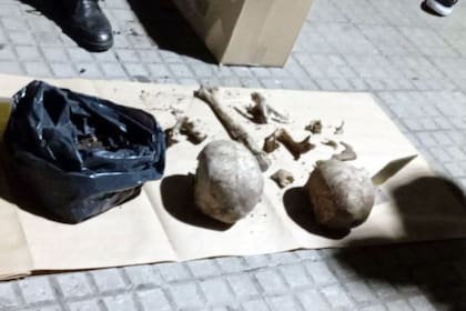 Cráneos, maxilares y una vértebra, entre los restos hallados