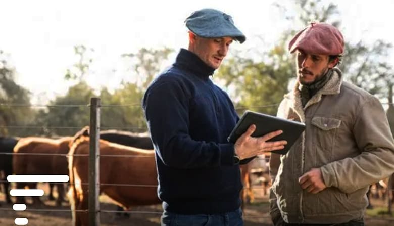 De la pandemia a España: la startup que transforma la ganadería