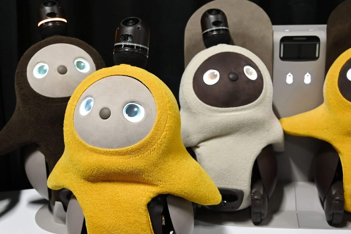 Crearon robots de compañía, exoesqueletos y timbres remotos