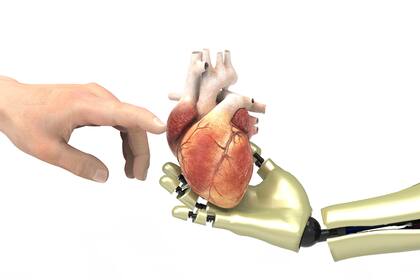 Crearon una plataforma de inteligencia artificial capaz de detectar enfermedades cardíacas