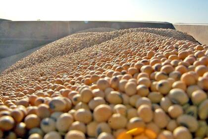 Crece el acopio en el Norte