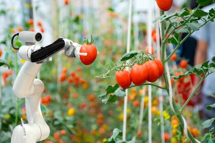 Crece el uso de la automatización