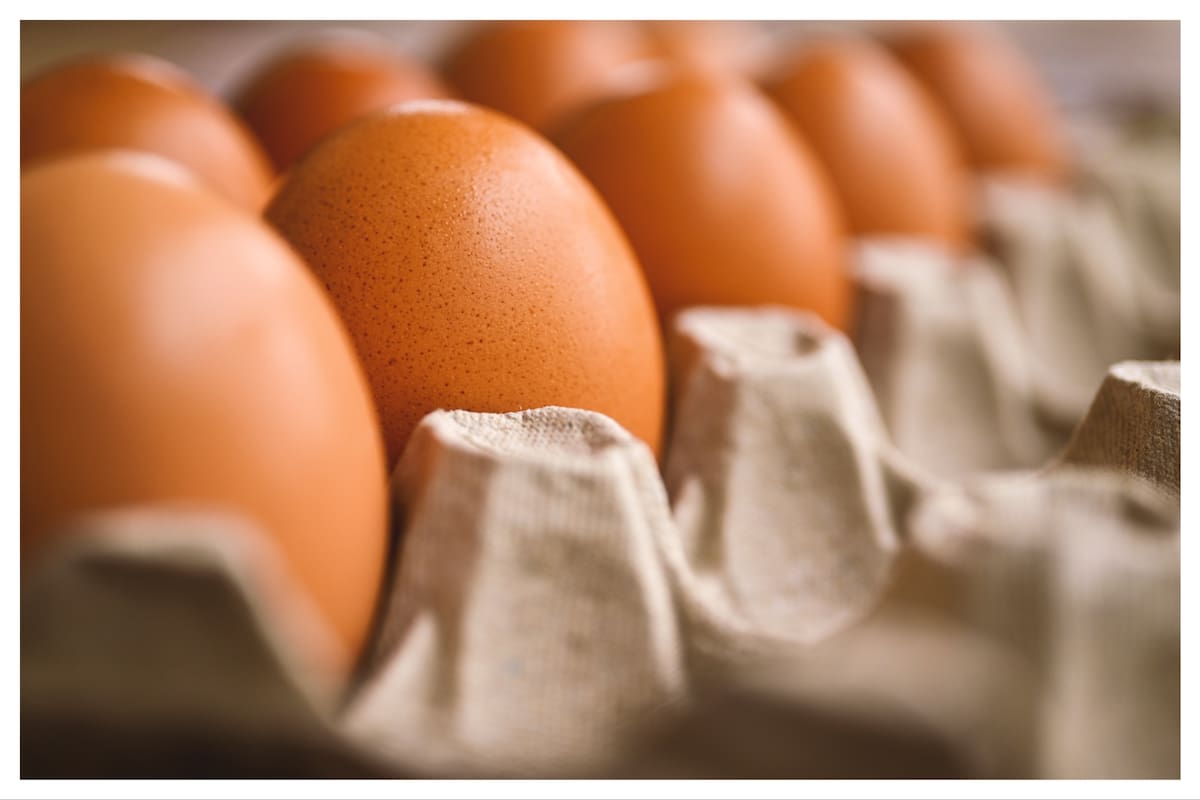 Crece en el país el consumo de huevos