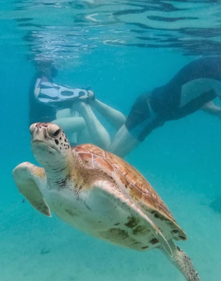Crece la preocupación por el calentamiento de los océanos
