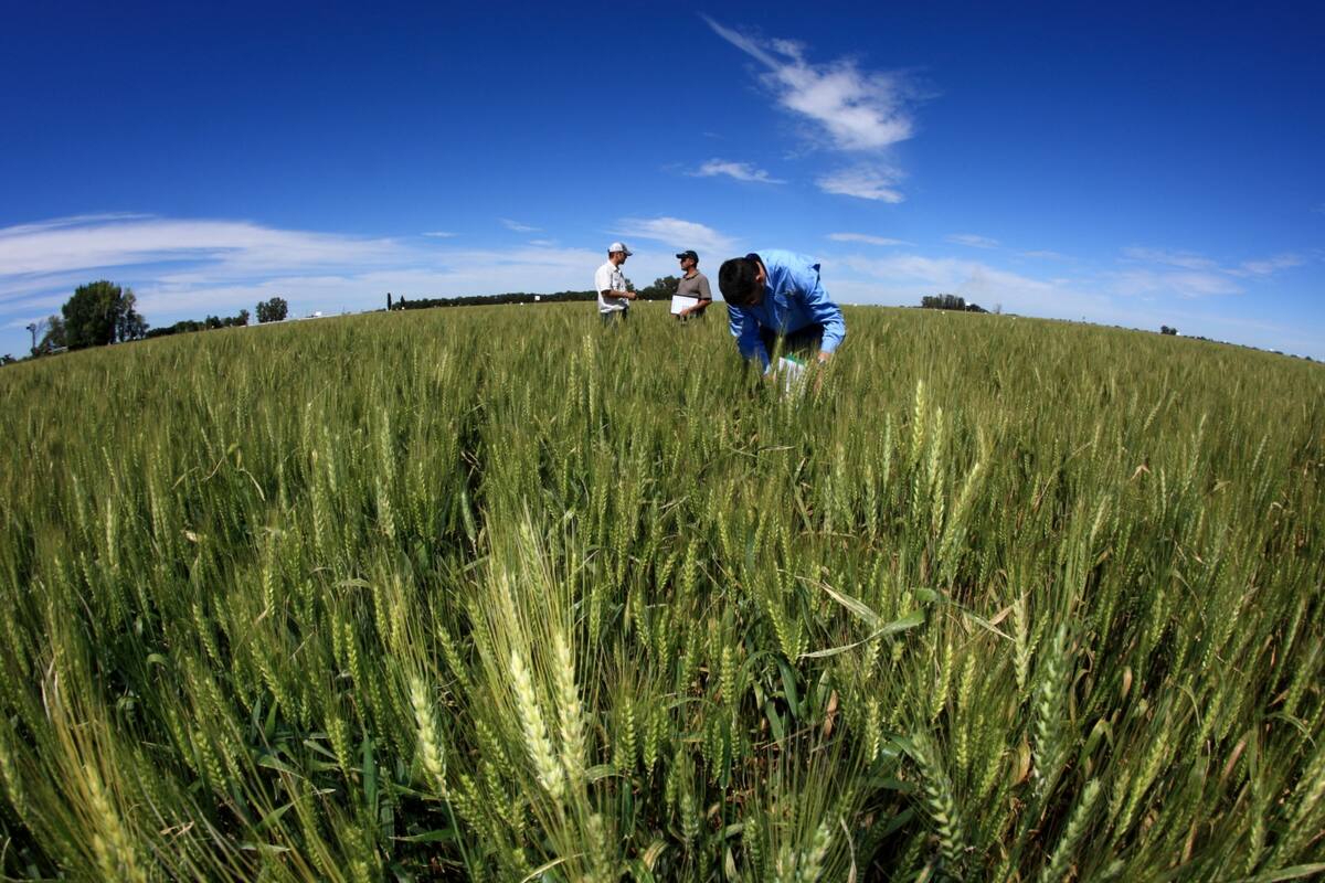 Crecen las acciones por una mayor producción sustentable