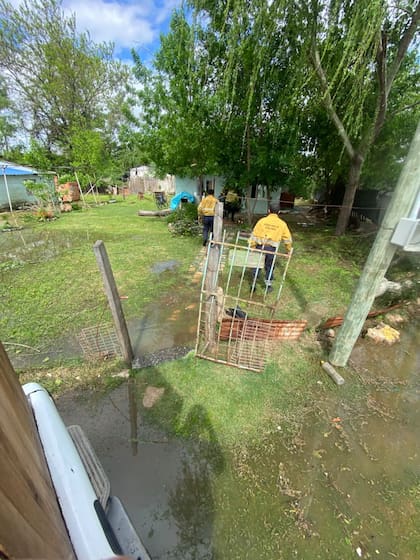 Crecida del río Uruguay: evacuaron familias en Concordia.