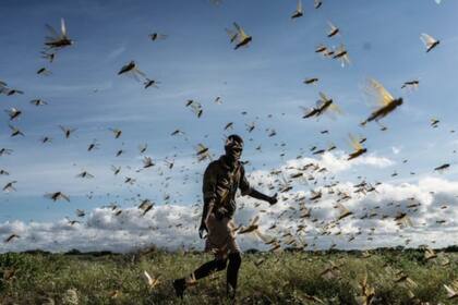 Crédito: FREDRIK LERNERYD