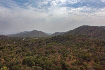 Creencias místicas alimentan el comercio ilegal de grandes felinos en Senegal