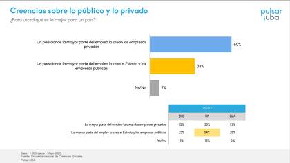 Creencias sobre lo público y lo privado, del Instituto Pulsar de la Universidad de Buenos Aires