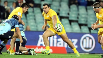 Creevy ponderó la victoria en Sydney