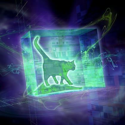 "Creo que el gato no está realmente despierto y durmiendo al mismo tiempo", aseguró sobre el experimento