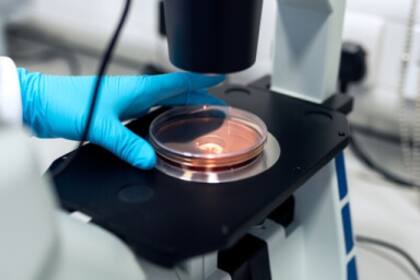 Cresilón y el Instituto de Investigación del Ejército Walter Reed están asociados para investigar productos para lesiones cerebrales por trauma