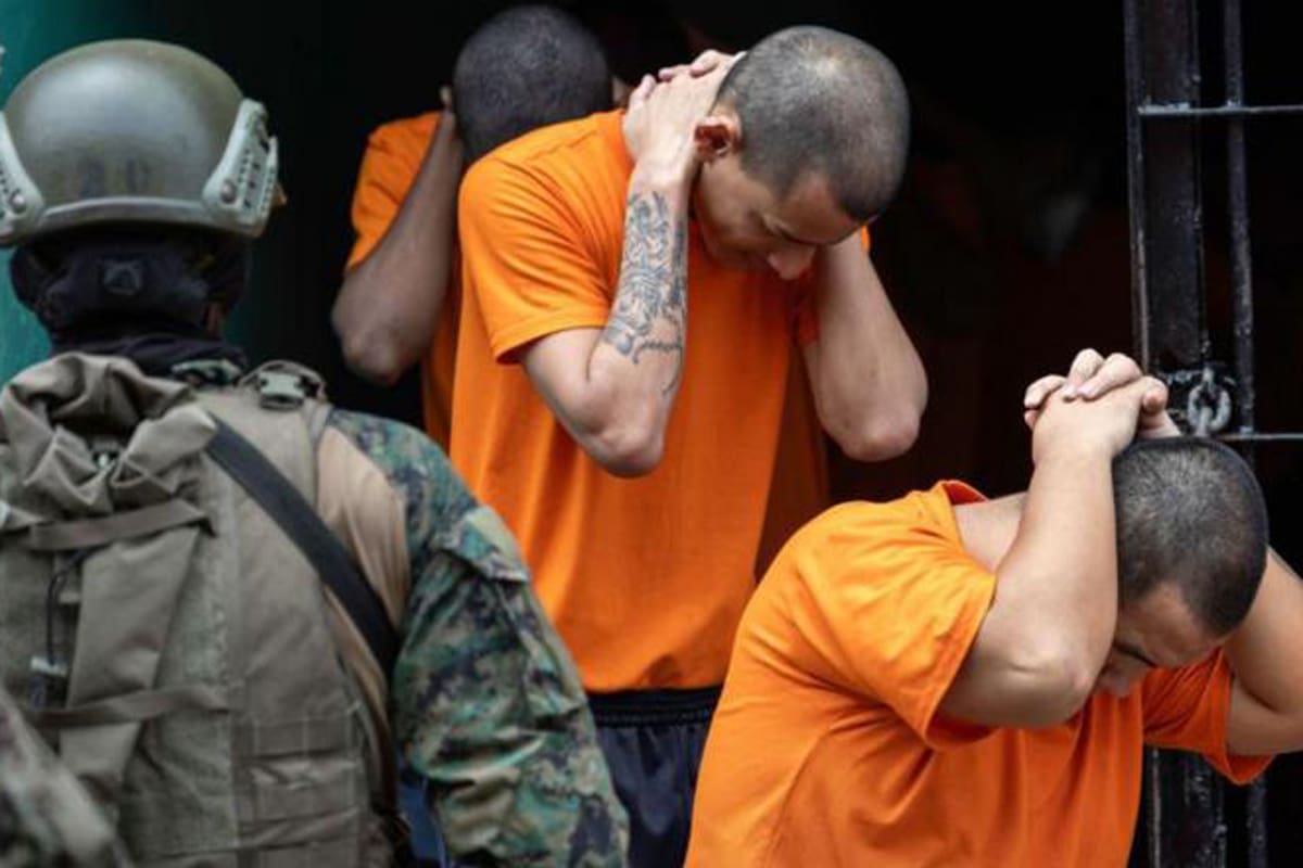 Crimen organizado; narcotráfico; cocaína; colombia, América Latina; Ecuador; El "Niño Guerrero" ; FARC; BBC, BBC Mundo