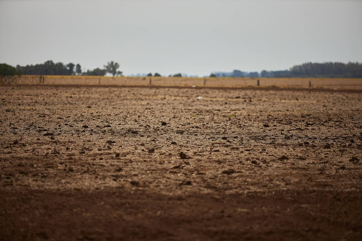 Cristian Franco en el campo que deberia tener maiz a la altura de su cintura. Por la sequia no pudo sembrarlo y lo que queda son restos de trigo y soja. Es la tercer año con temporada seca prolongada. Preocupación por lo que pueda llegar a pasar de ahora en mas.