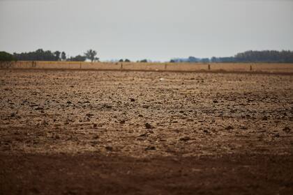 Cristian Franco en el campo que deberia tener maiz a la altura de su cintura. Por la sequia no pudo sembrarlo y lo que queda son restos de trigo y soja. Es la tercer año con temporada seca prolongada. Preocupación por lo que pueda llegar a pasar de ahora en mas.