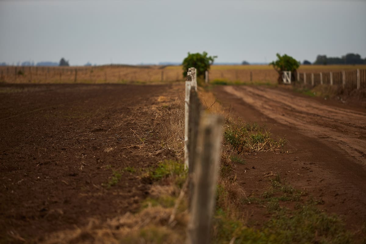 Cristian Franco en el campo que deberia tener maiz a la altura de su cintura. Por la sequia no pudo sembrarlo y lo que queda son restos de trigo y soja. Es la tercer aÒo con temporada seca prolongada. PreocupaciÛn por lo que pueda llegar a pasar de ahora en mas.