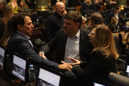 Cristian Gribaudo (izquierda) medió en el acuerdo entre Fuerza Patria y Pro para aprobar el desendeudamiento familiar y el financiamiento de la línea F