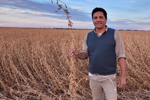 Cristian José María Muñoz, encargado del Establecimiento Kaitaco, donde sorprendió el rinde de la soja