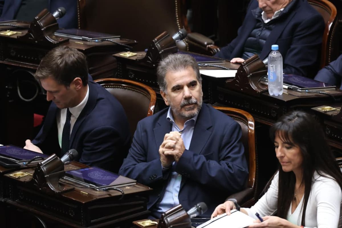 Cristian Ritondo. Apertura de la sesión en Diputados por Morosidad y Discapacidad. Congreso Nacional.