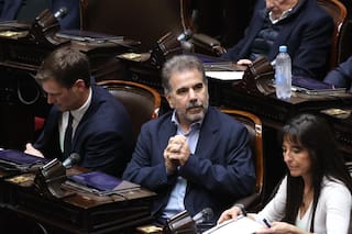 El Gobierno eliminó artículos clave de la emergencia en Discapacidad en la ley de presupuesto