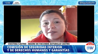Cristina Castro durante el plenario virtual de Diputados