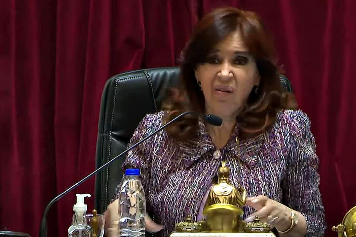 Cristina Kirchner en el Senado luego de tratar de gallinas a los parlamentarios opositores