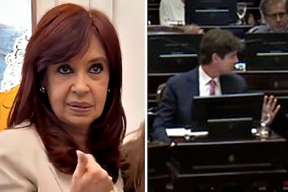 Cristina Kirchner, en TikTok, y Martín Lousteau asomando "discretamente" la mano para convalidar el fuerte aumento de los sueldos de los senadores